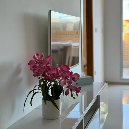 Mia Casa Torrevieja