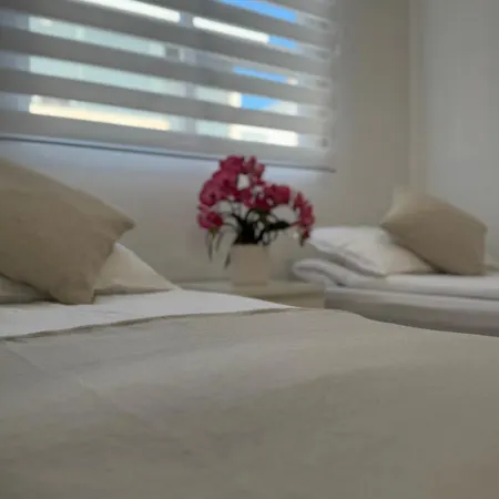 Mia Casa *